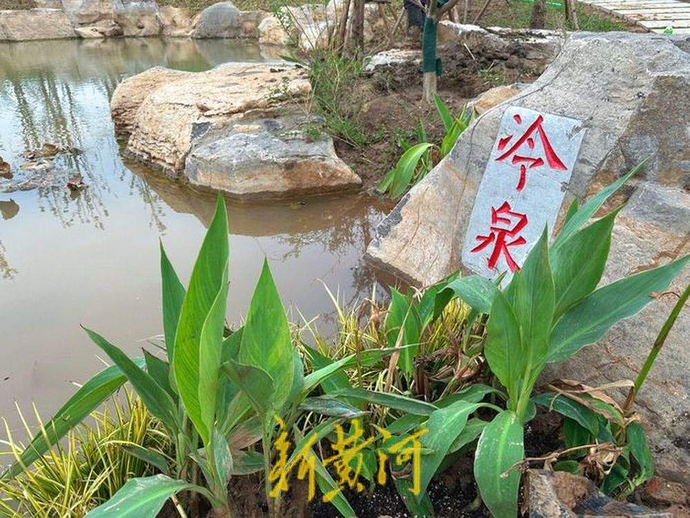 白泉涌沙的“世外桃源”，即将揭开面纱