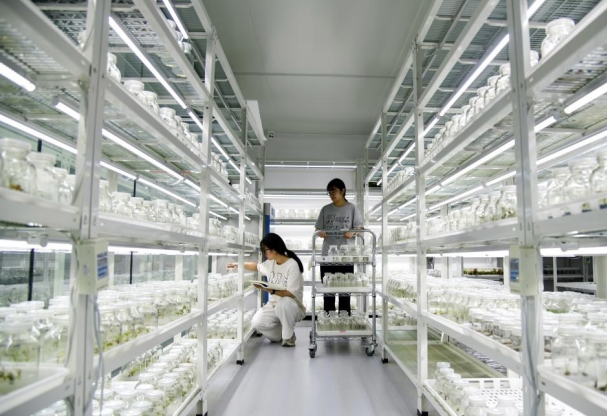 融媒·先锋｜“阳光雨露”滋润的创新谷，数百家企业长得“枝繁叶茂”——“谷”间晨曦