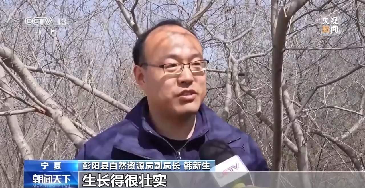 让每滴水发挥最大价值！三北工程攻坚战这样拧紧“水龙头”