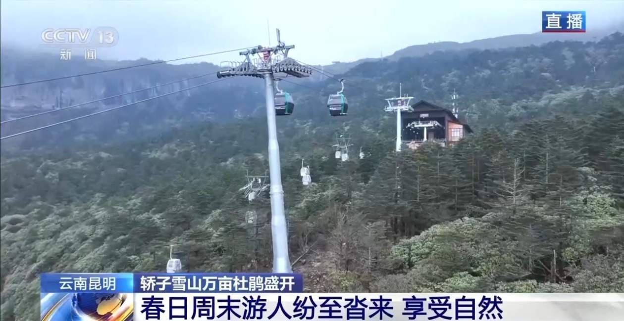 “五一”去哪儿？攀登华山有“外挂” 雪山杜鹃醉春光