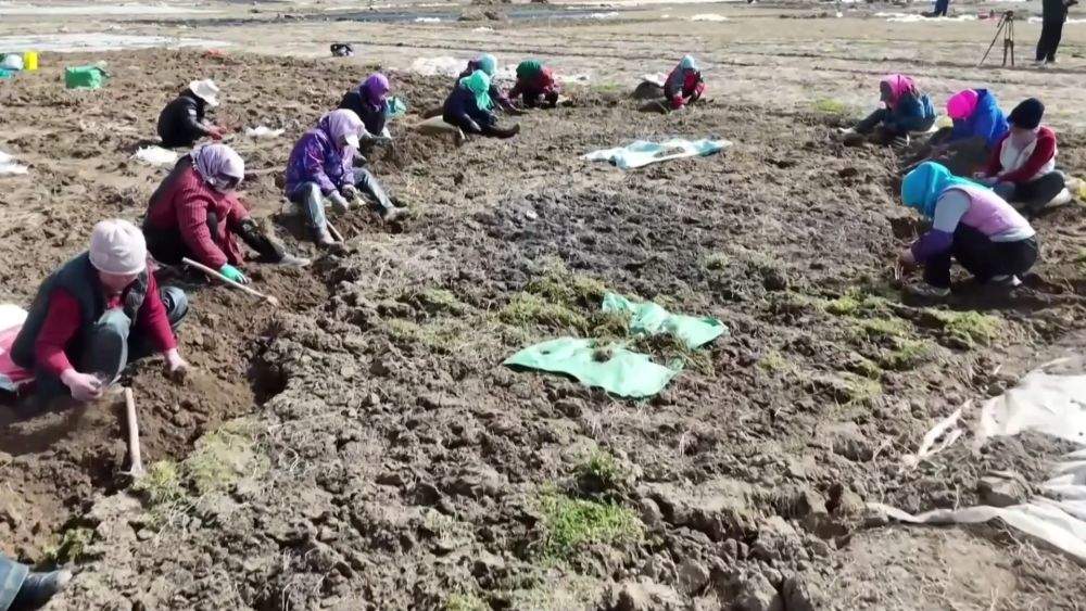 新华视点｜不负春光开好局 各地忙生产稳就业