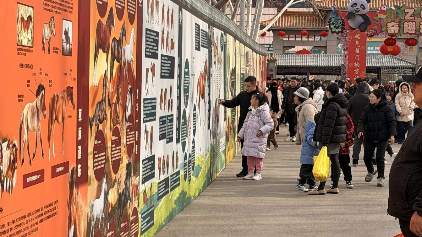 马年寻马,快来打卡济南公园里的“寻马”地图