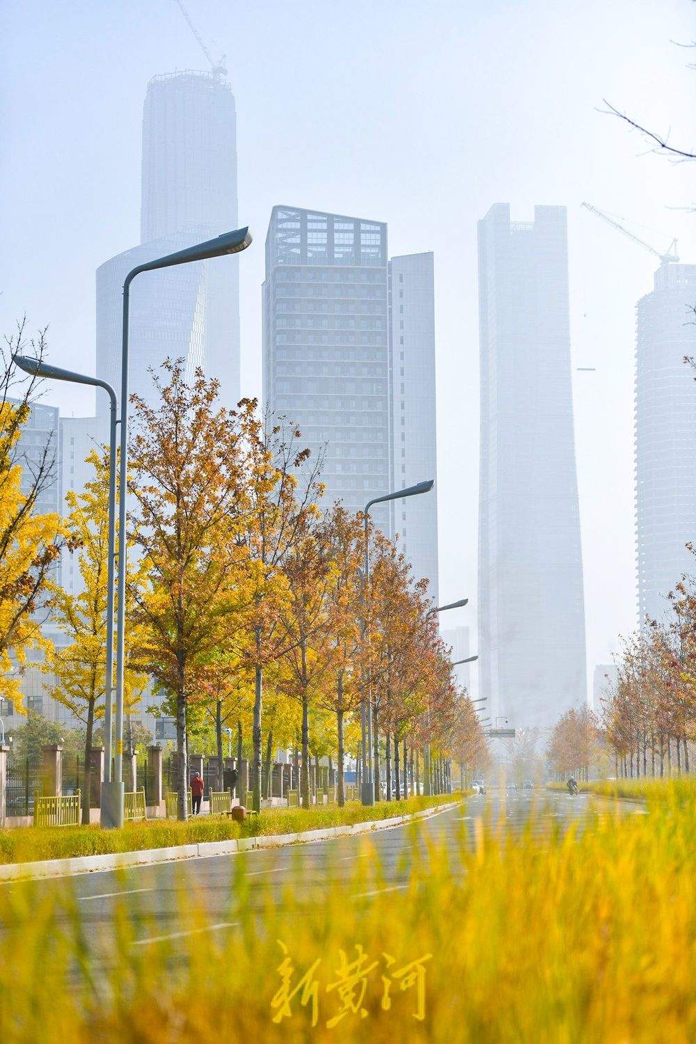 一年四季 泉在济南丨在济南CBD打卡深秋最美赏叶路