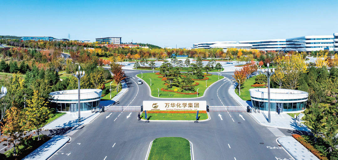 蹲点调查｜万华再造：一家化工巨头的“质变”密码