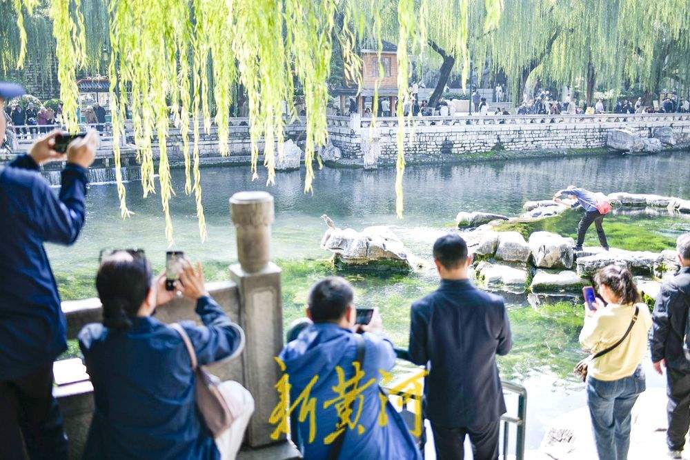 黑虎泉欢涌劲头足，三兽头喷涌引赏泉游热潮