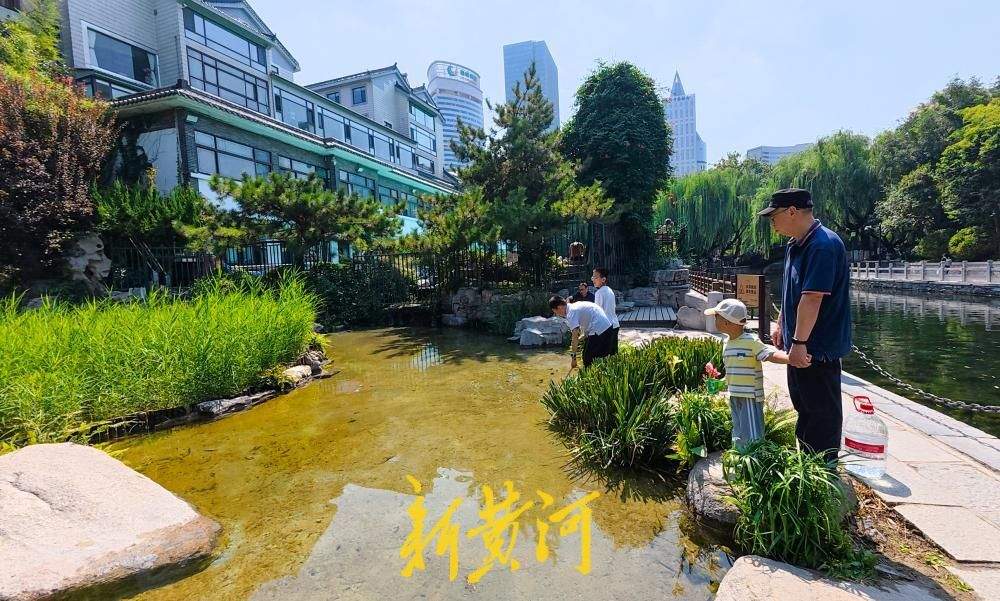 环城公园沙池变身生态浅溪 泉水浴场北侧景观焕新亮相