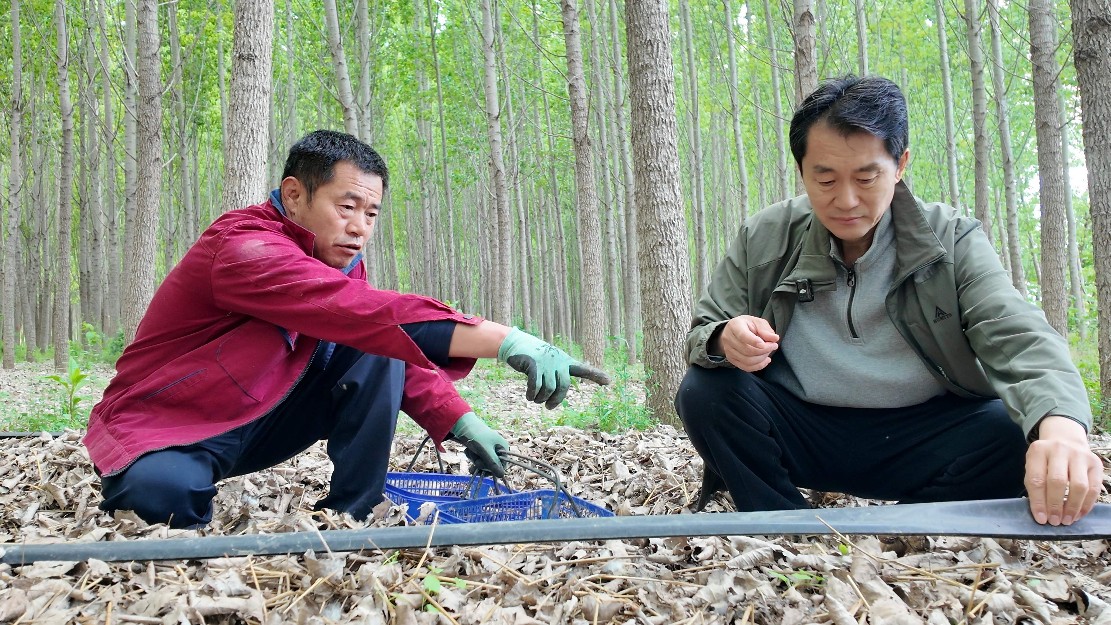 融媒·见证丨第一书记联盟助力，零散土地变金角银边——破土生金