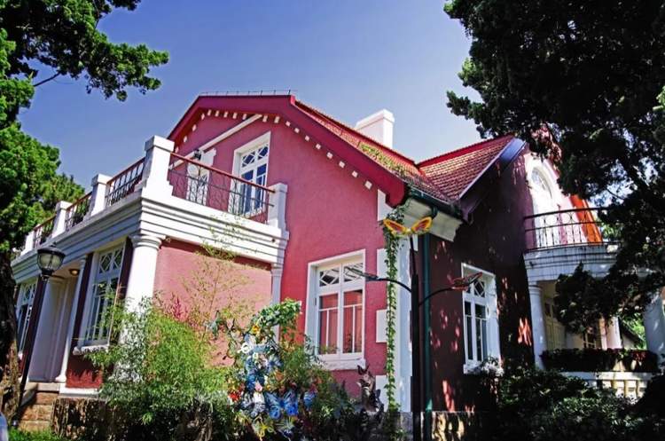 南来北往、热辣滚烫……你爱看的“电子年货”山东承包了