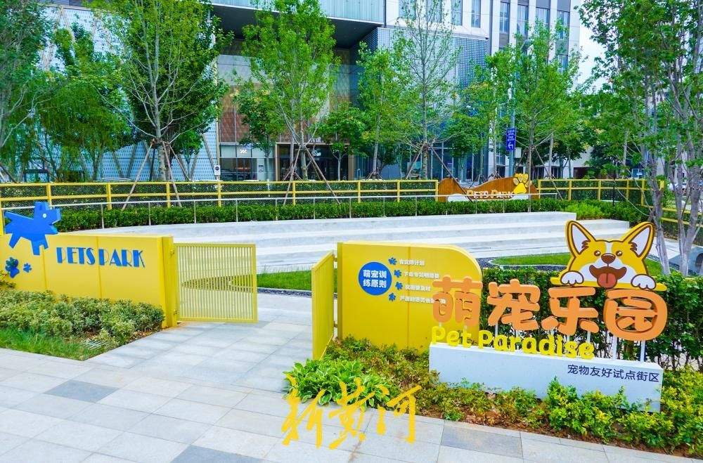 济南首个“宠物友好试点街区”亮相CBD 打造封闭式萌宠乐园