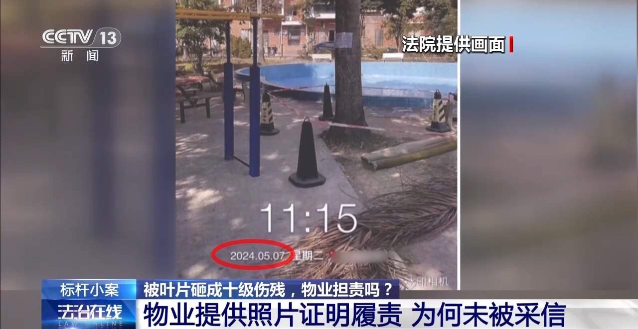 老人小区内遛弯被大王椰叶片砸成十级伤残 物业要担责吗？
