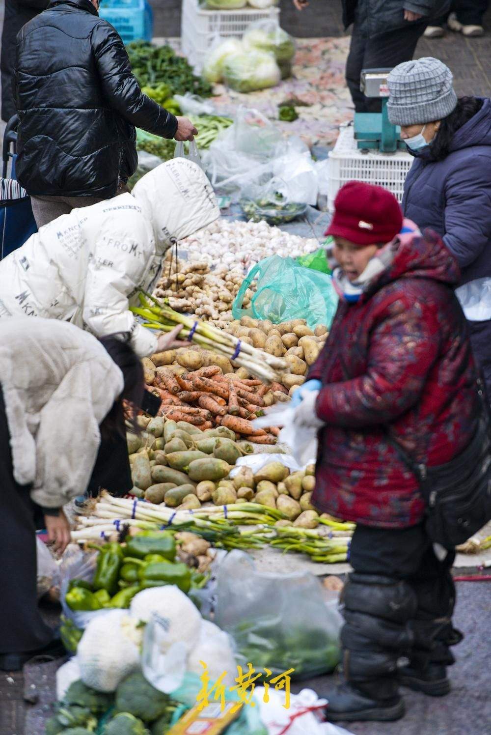 腊月过后年味浓，济南各个年货大集热闹起来