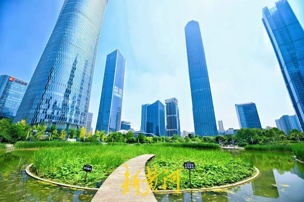 都市楼宇藏清荷，济南初夏入画来