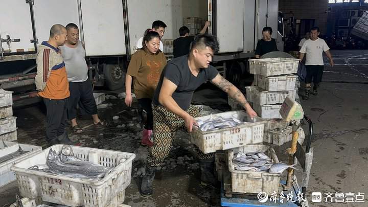 声声呼唤中，济南“海老板”们等到众“鲜”归来