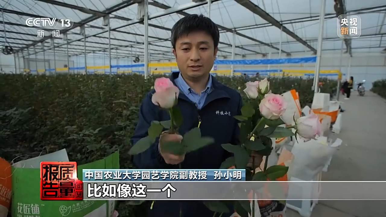 小鲜花大市场,这份美丽的事业正蓄势绽放