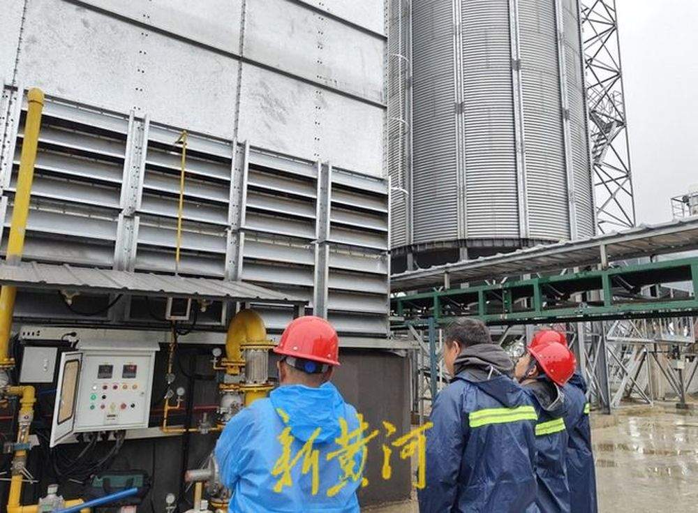 泉城秋收回望图丨技与保！烘干塔里的颗粒归仓