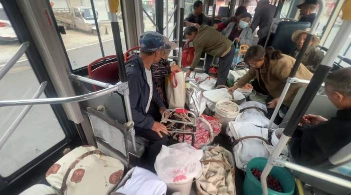 樱桃红了,公交来了:济南67路载满南山果实奔赴城区街巷