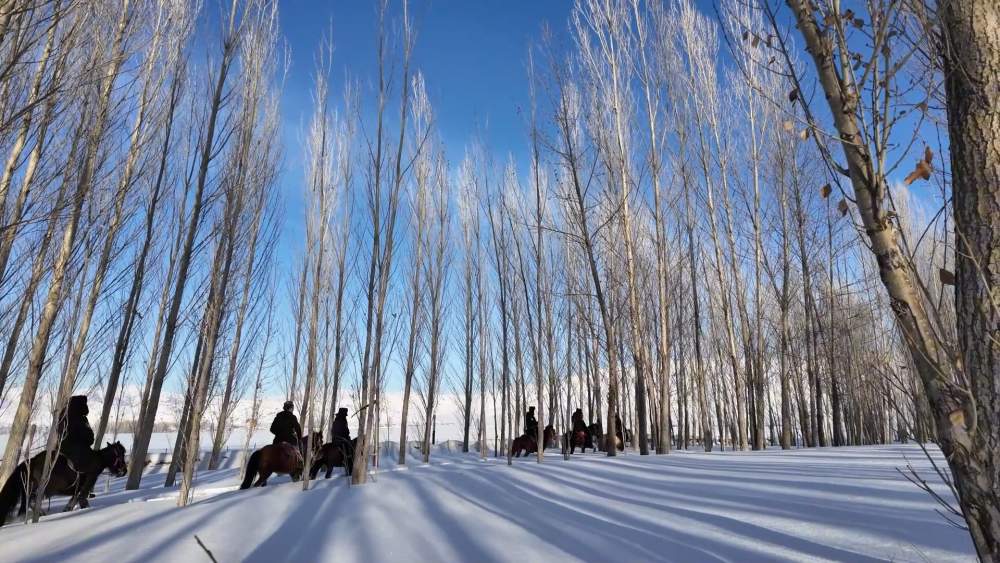 新春走基层·忙年｜踏雪巡逻，他们骑行在祖国边境线
