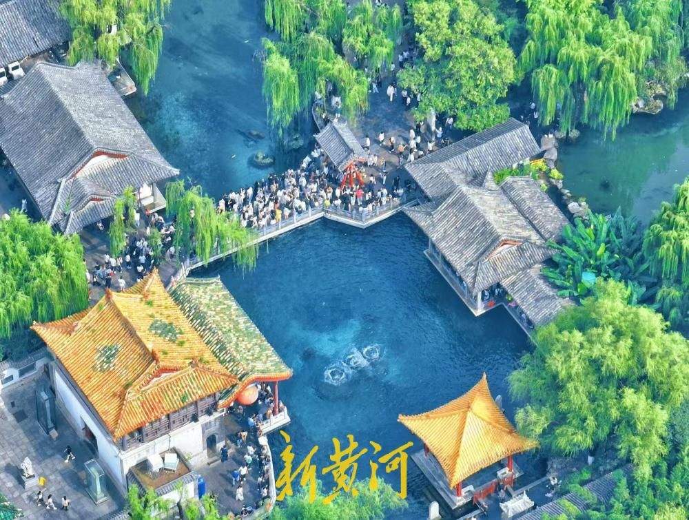暑期收官遇盛景，趵突腾空醉游人