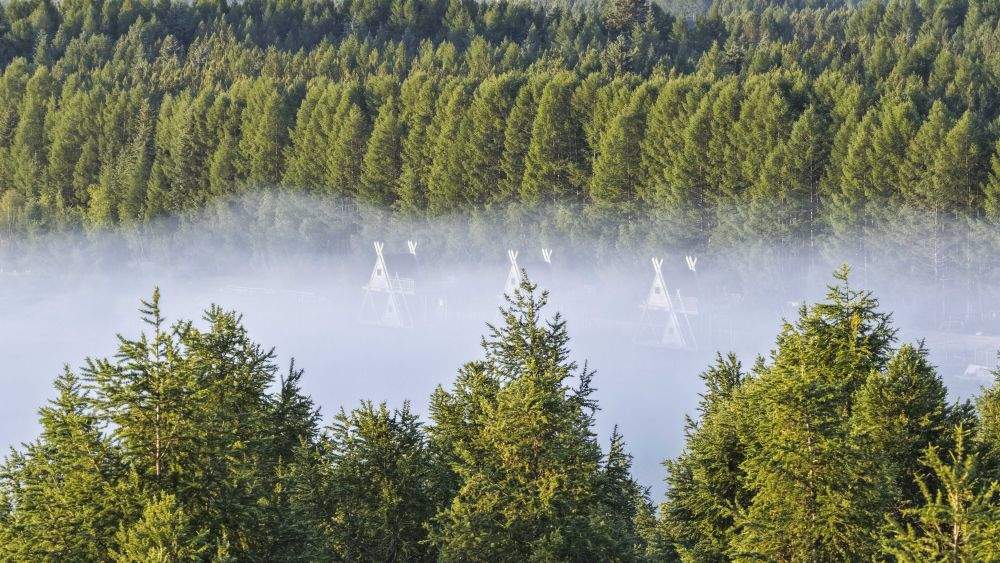 新华鲜报｜春已至！“植”绿山河