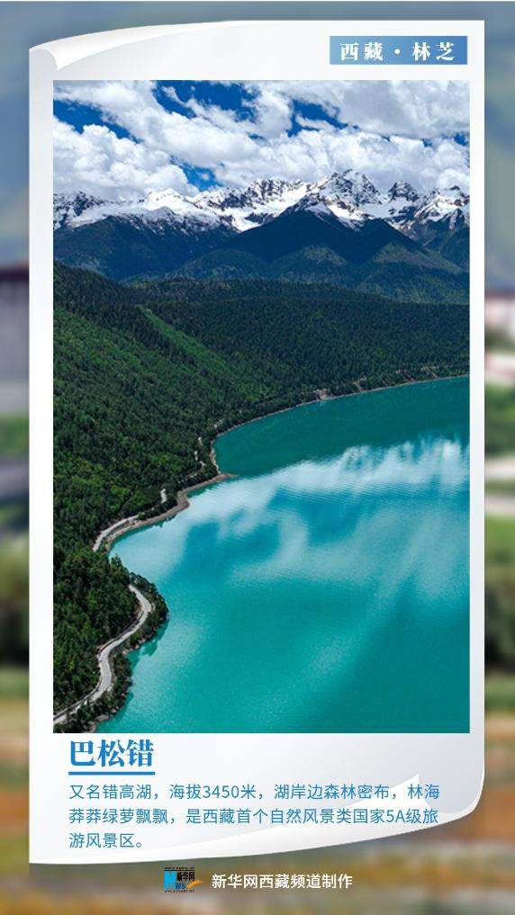 世界环境日｜美丽中国我先行 “绿色长城”阅雪域