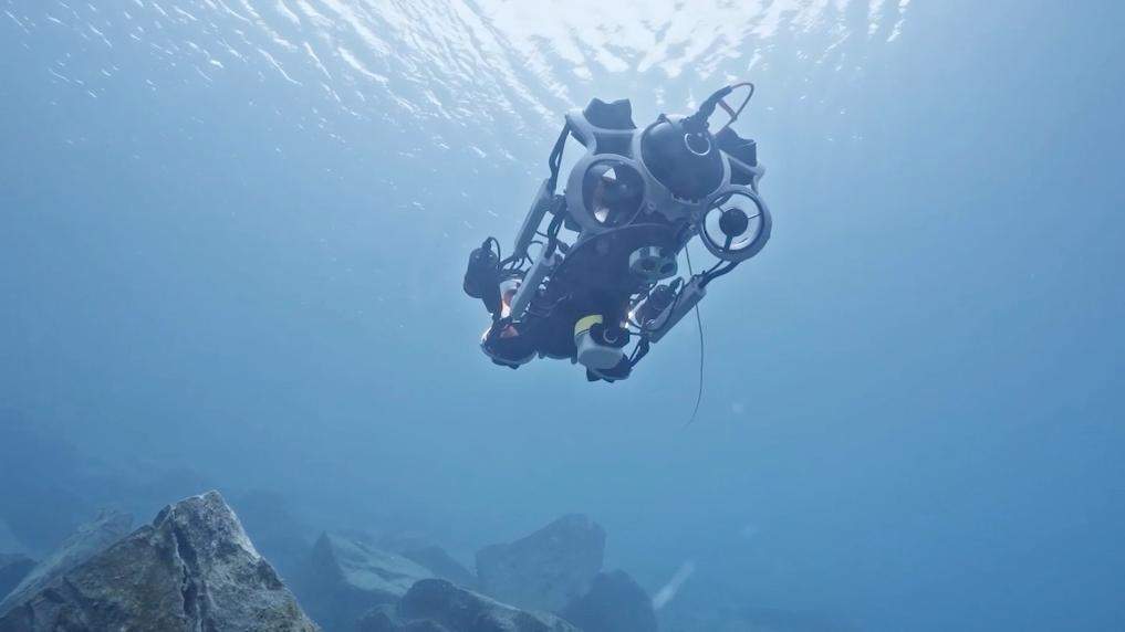 新华视点｜这些行业正在“爆单”！中国经济活力密码