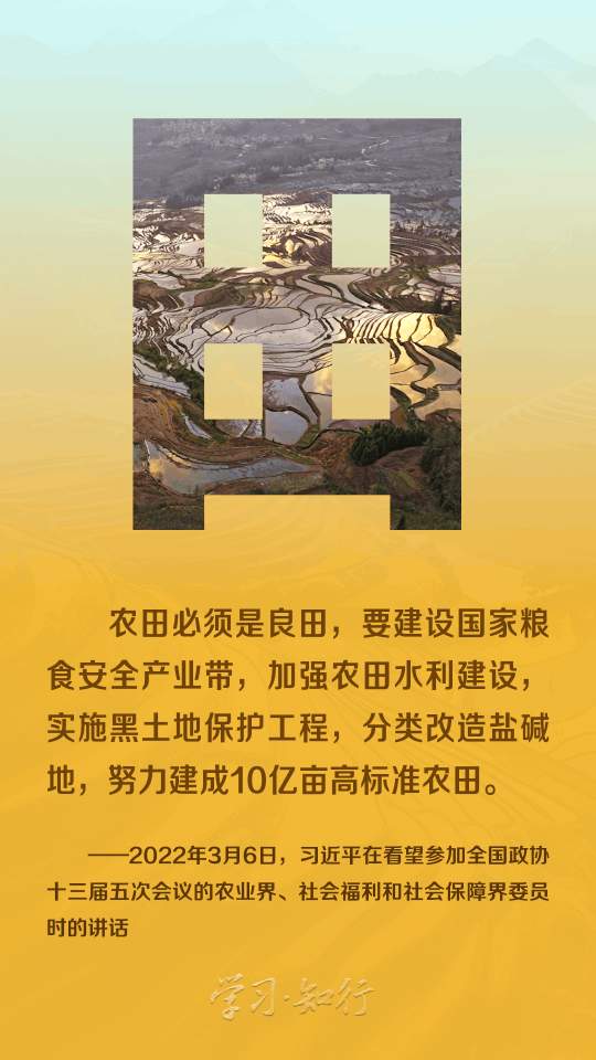 和谐共生丨八个字里的生态密码