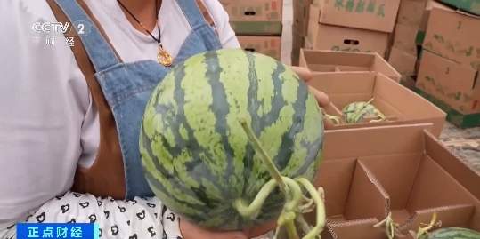 月入可过万！这个“夏日顶流职业”火了