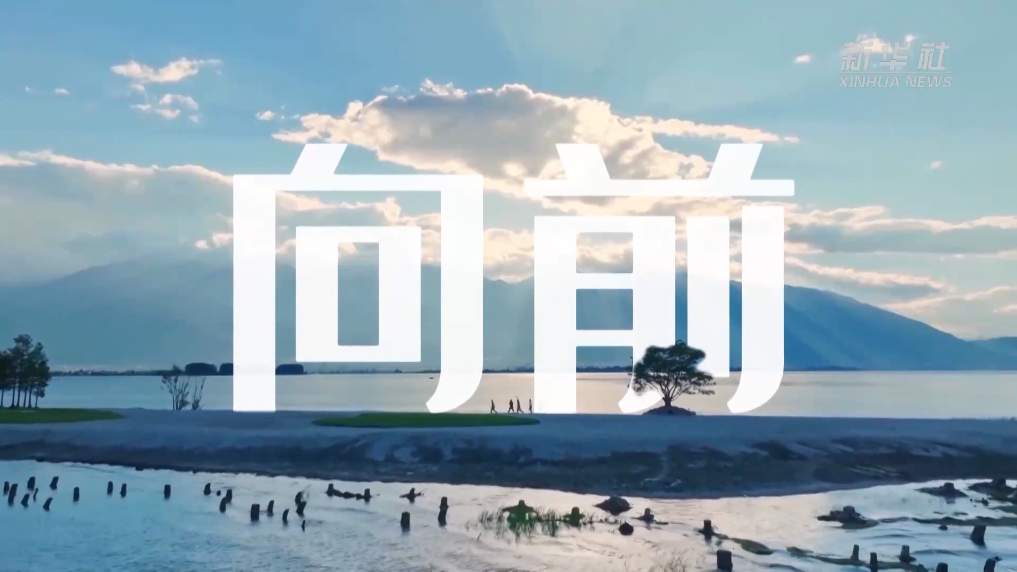 创意视频｜向前