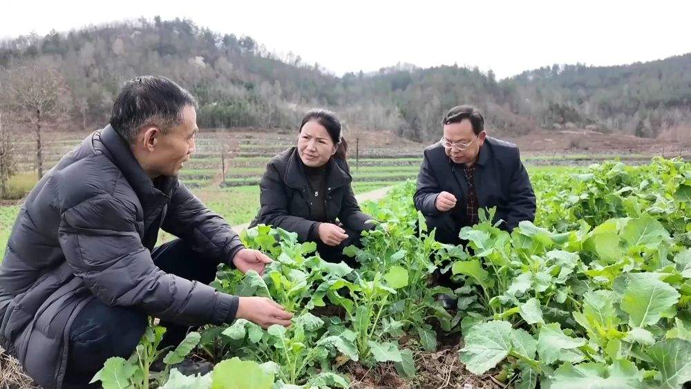 新华视点｜不负春光开好局 各地忙生产稳就业