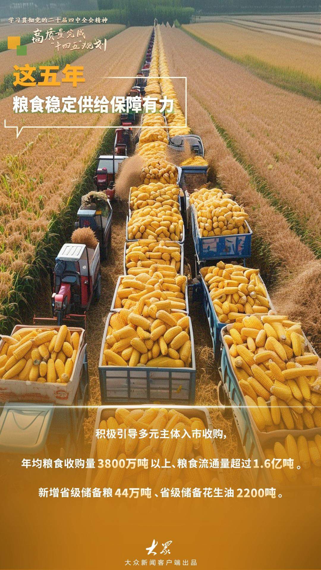 “十四五”山东粮食产业工业总产值连续三年超5000亿