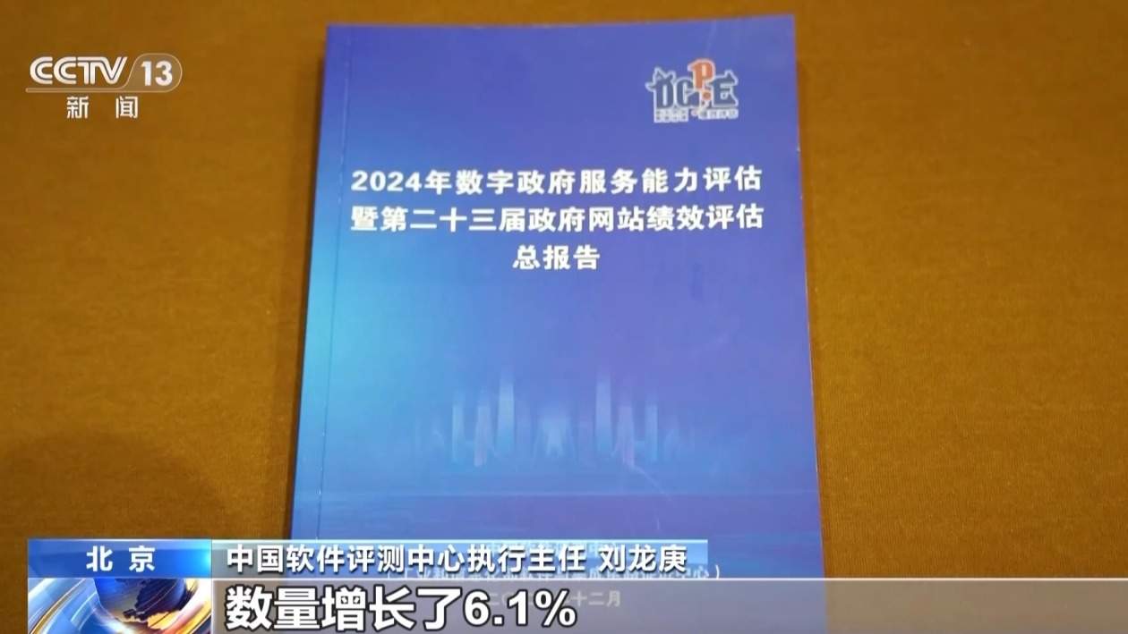 打造智慧化应用场景 2024年数字政府服务能力评估报告发布