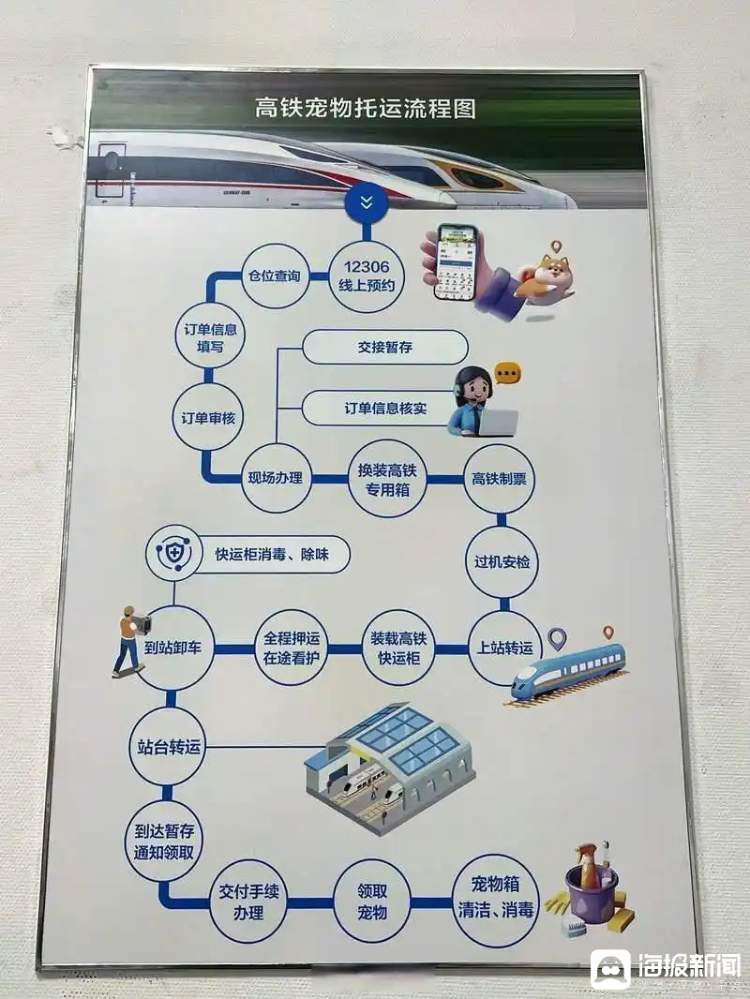 高铁宠物票价约为成人票2倍 有人更期待人宠同车厢