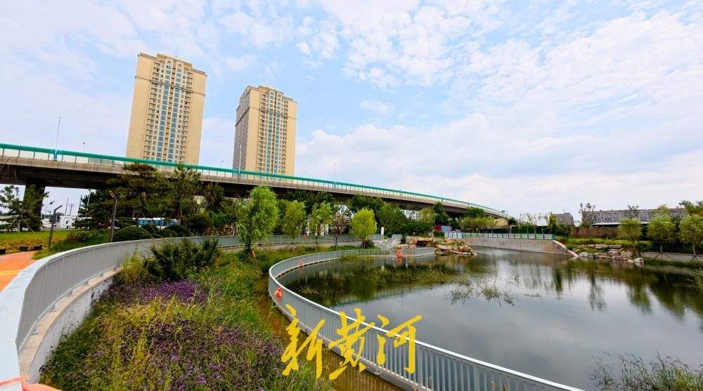 济南：北太平河河道改造 沿河公园为周边居民添新景