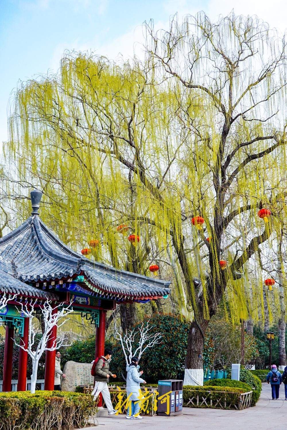 一年四季 泉在济南丨大明湖柳绿天蓝春意浓,汉服少女打卡定格春日美景