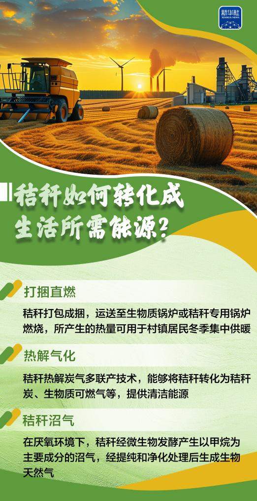 变饲料、转能源、种菌菇……秸秆原来这么“能”！