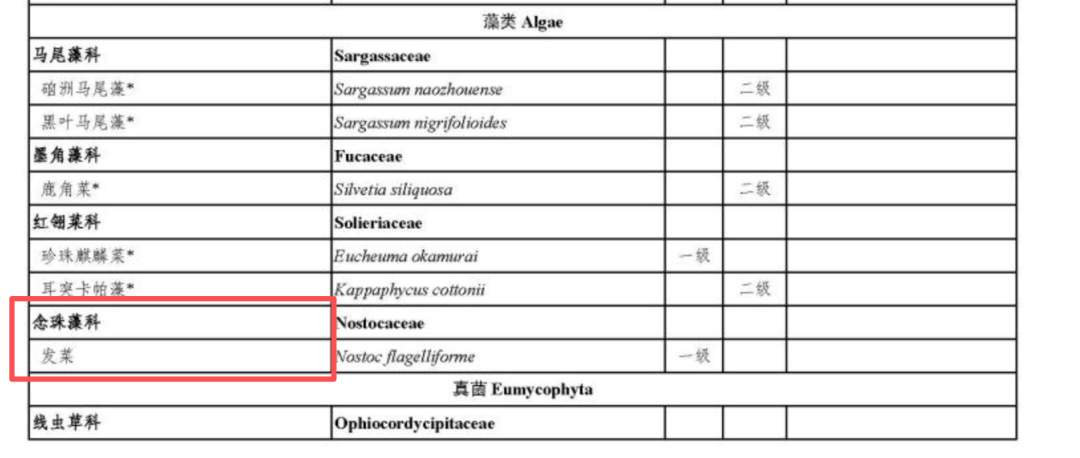 这种酷似头发的野菜是国家一级保护植物