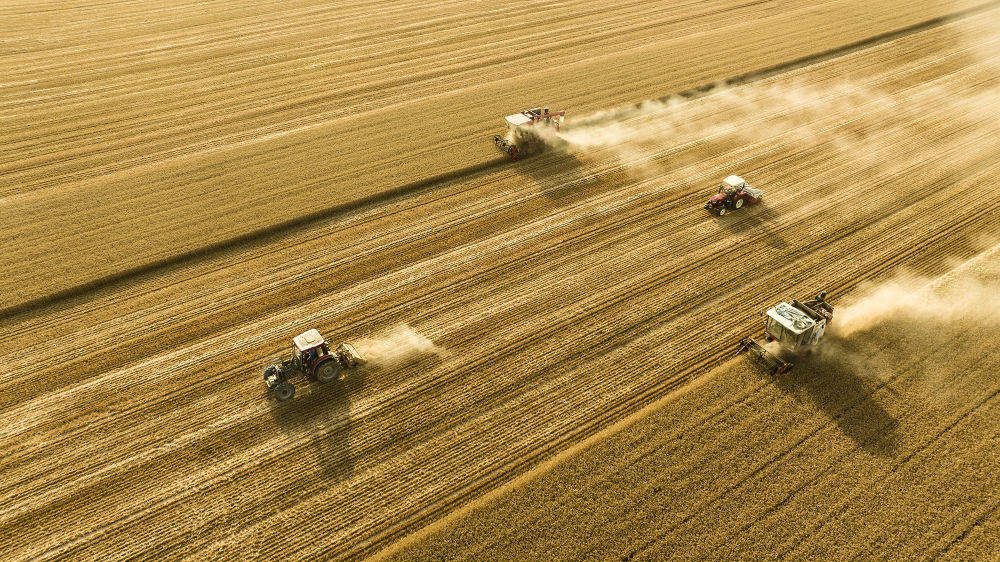 习近平总书记引领中国经济收官“十四五”擘画新蓝图