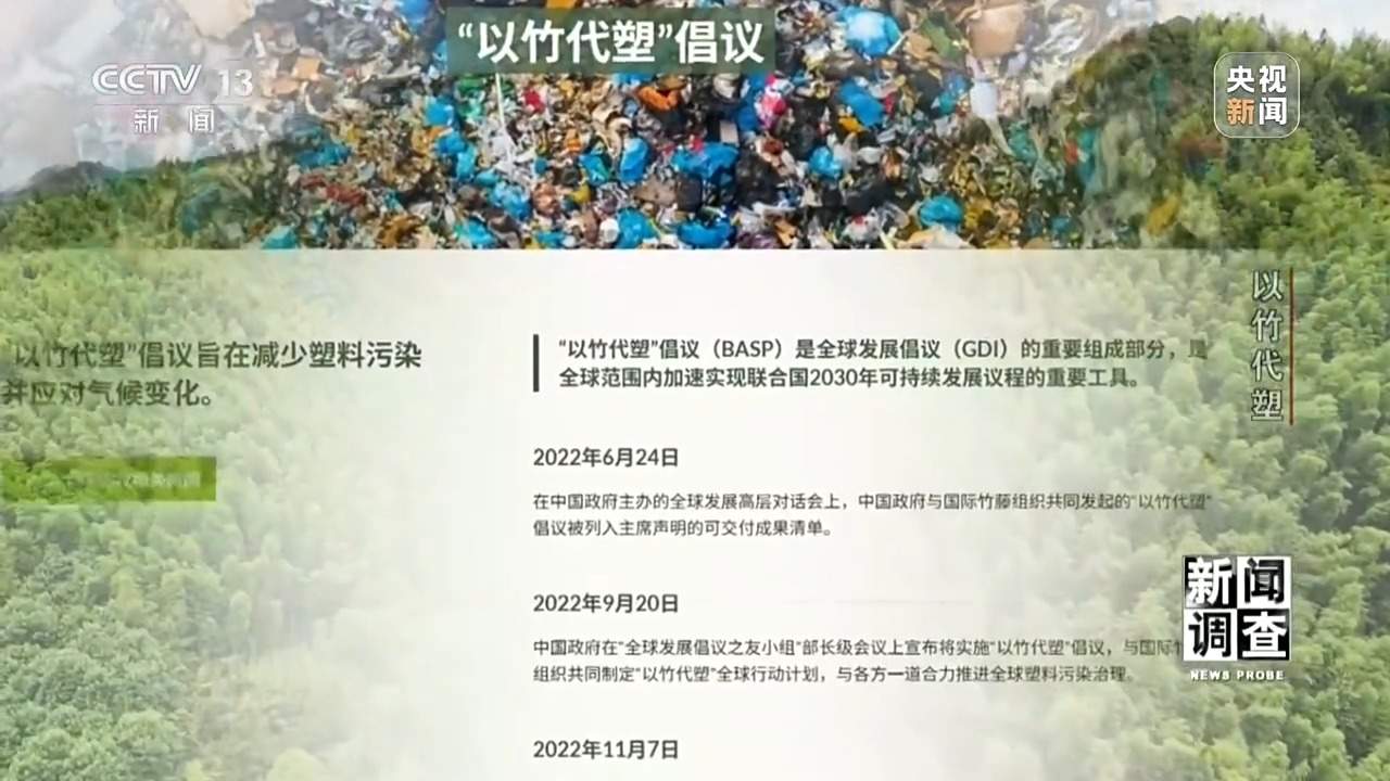 竹子做成无人机 闯进汽车圈 一根竹子的潜力远超想象