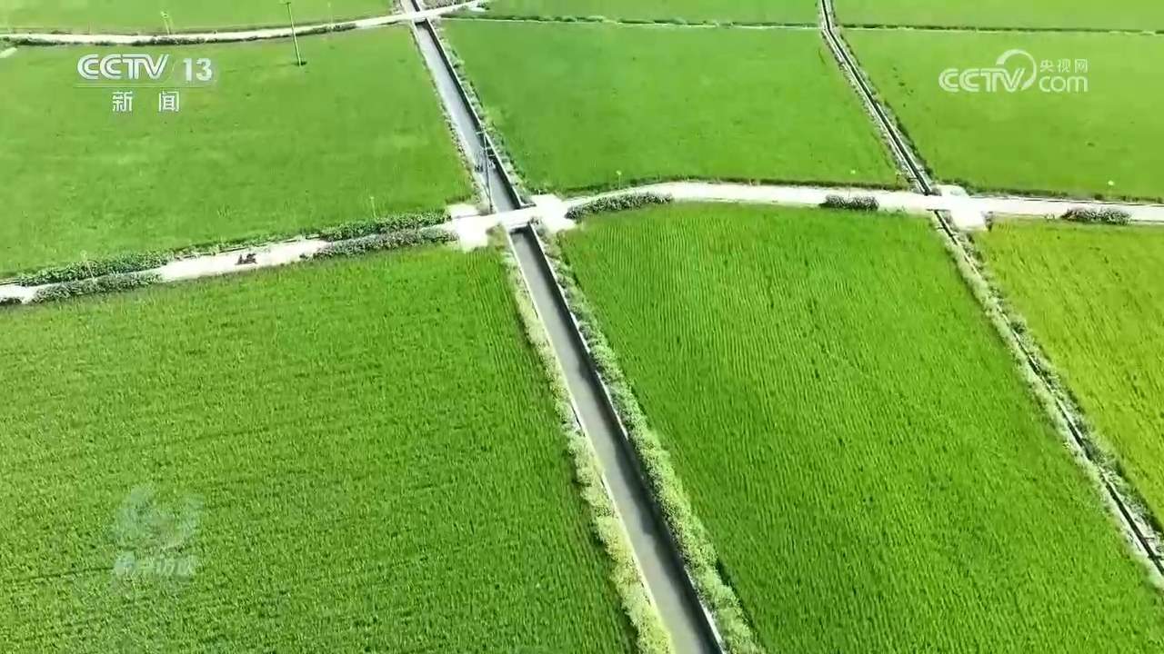 持续高温下 各地多措并举守护群众平安度夏