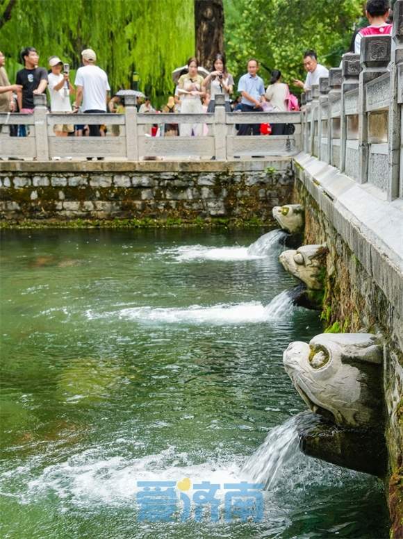 欢畅喷涌！黑虎泉水位攀升11厘米