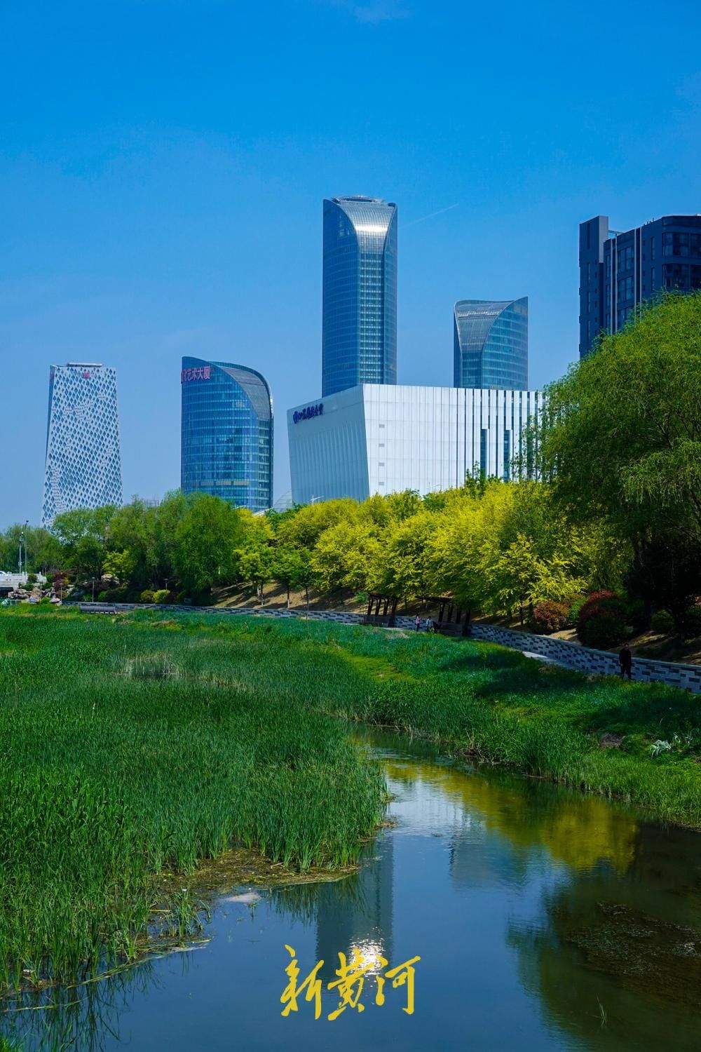 水清岸绿鸟归来,看济南腊山河畔的华丽蝶变