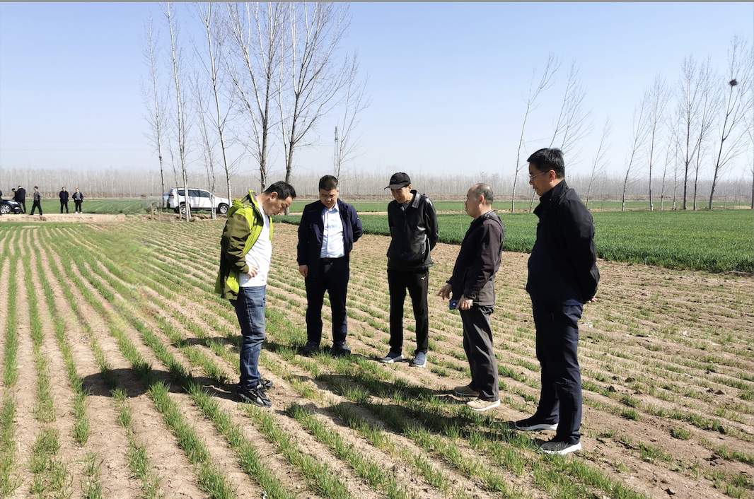 山东省地矿局地质测绘院实施嘉祥煤矿勘查项目野外验收获评优秀级