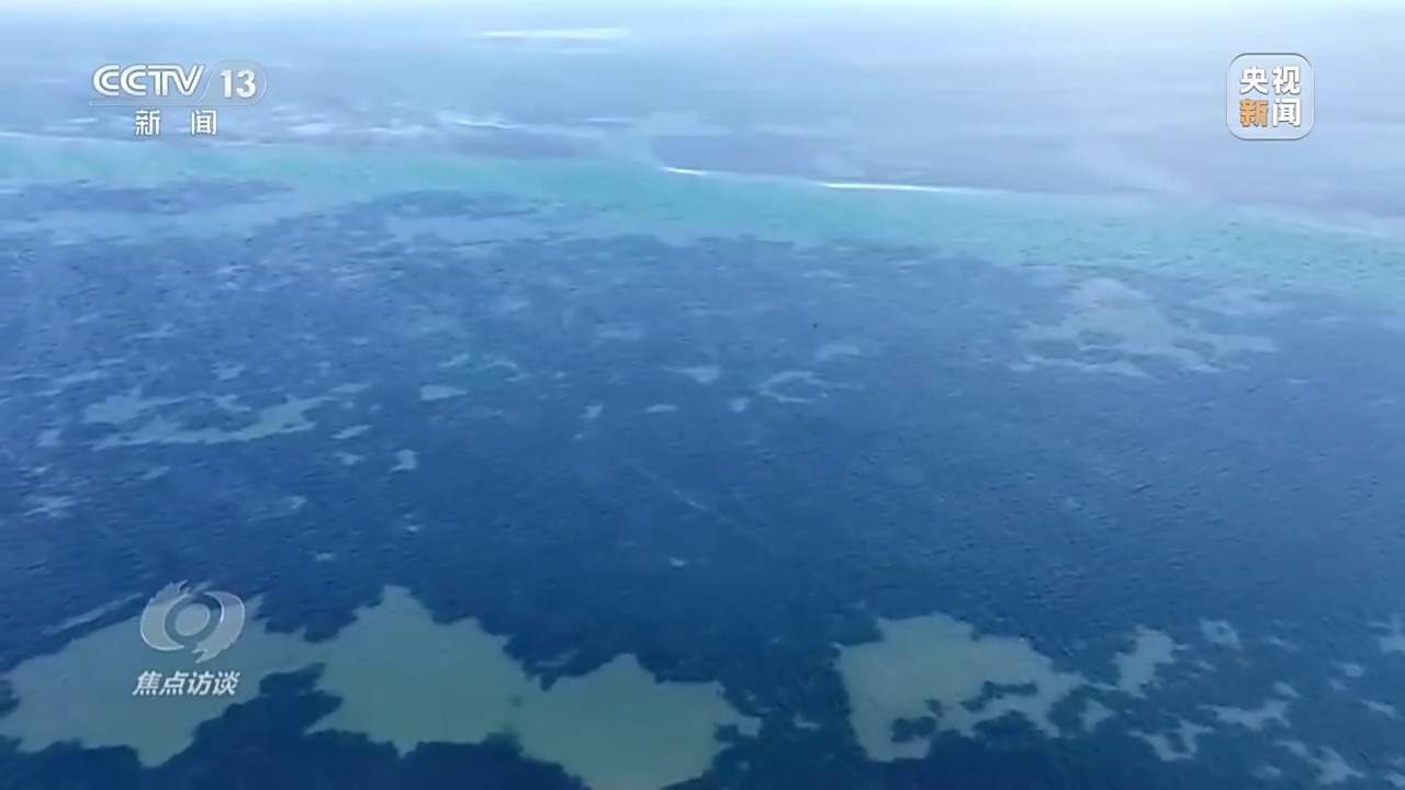 焦点访谈丨保护海洋生态 守好人海和谐的蓝色家园