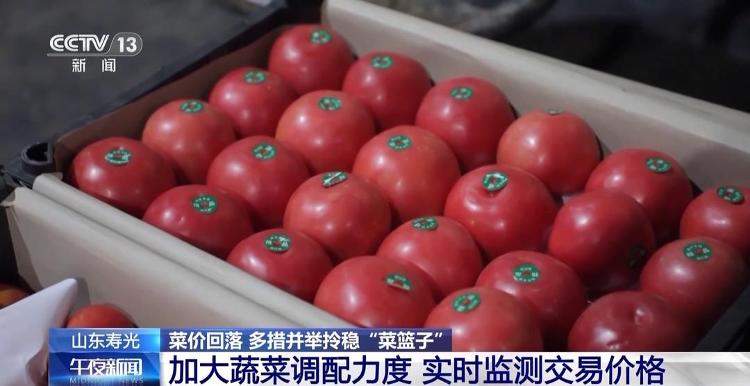 菜价波动后逐渐回落 山东等地如何拎稳“菜篮子”？