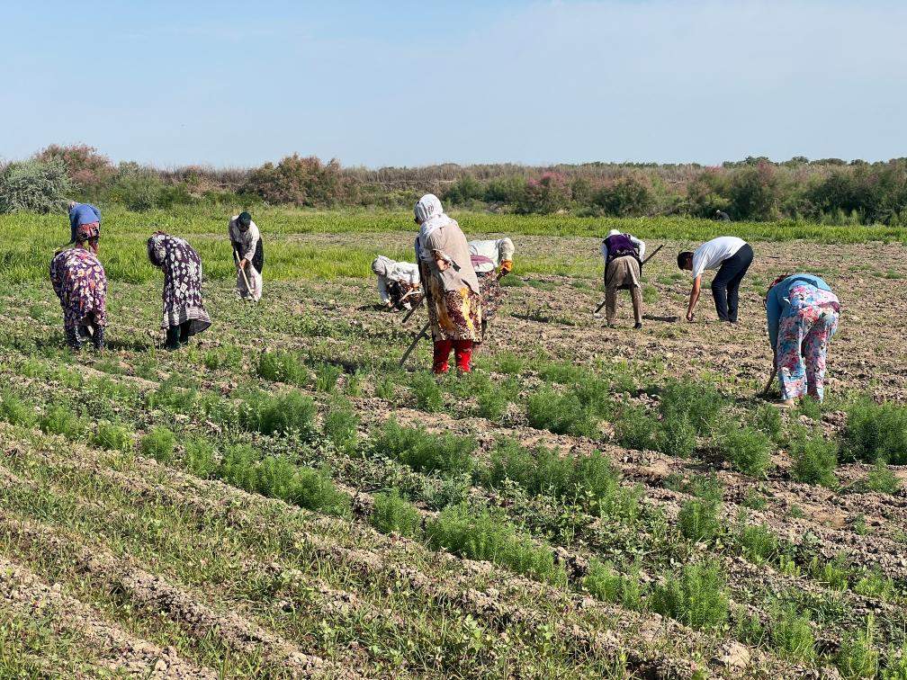 特稿丨绿色新风拂丝路——中国中亚书写绿色发展新篇章