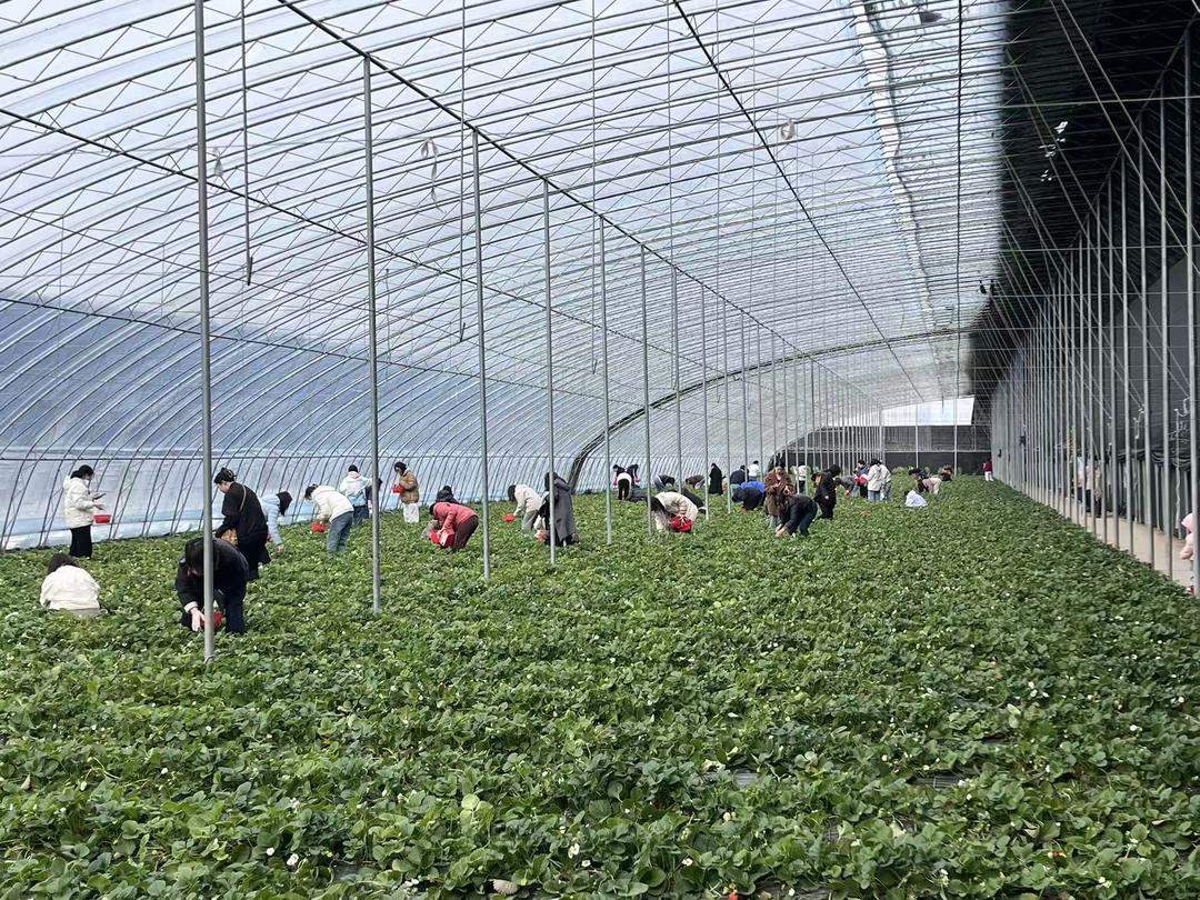 齐鲁年味·消费新潮丨回村过年还能这么玩？山东这些小而美的乡村藏不住了