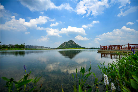 “十四五”济南生态环境保护“成绩单”公布