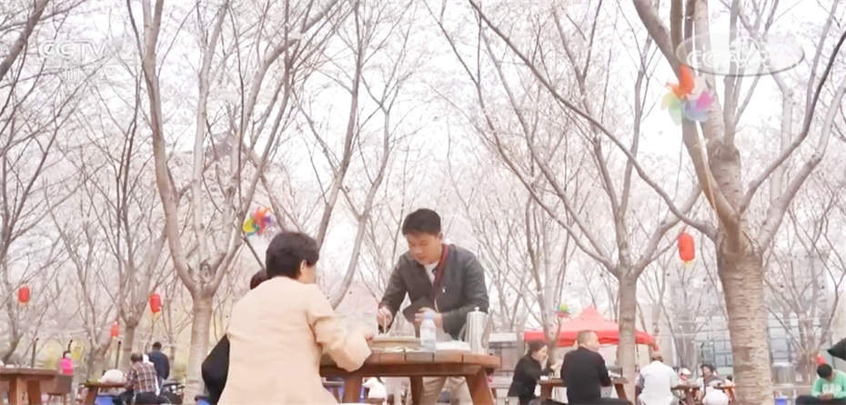 春日中国活力无限 “赏花+”模式升温成为促发展新引擎