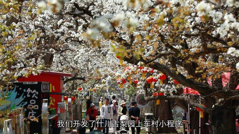 新华视点｜科技赋能 特色产业助力乡村振兴