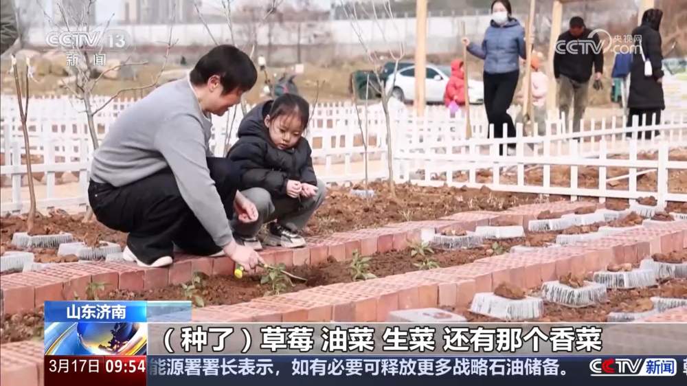 在济南,当“开心农场”照进现实